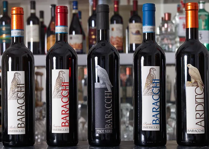 Degli Artisti Hotel 4*