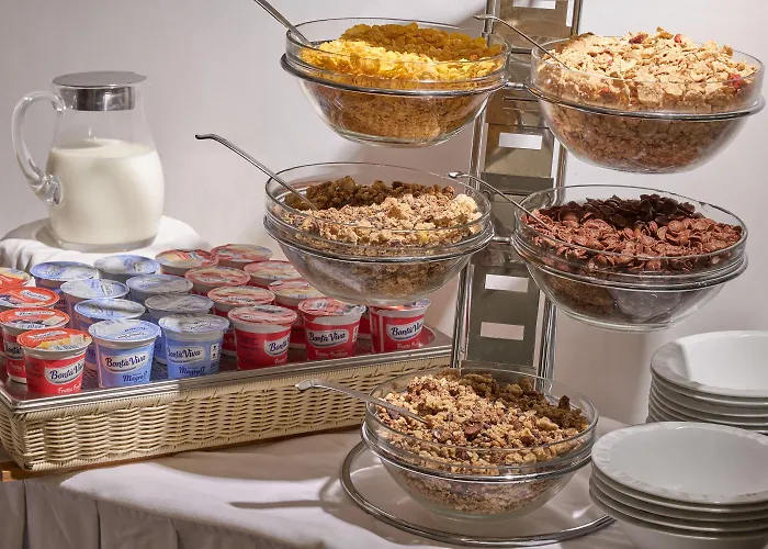 Hotel Degli Artisti 4*